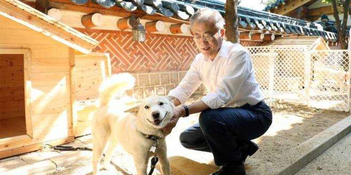 "Moon Jae-in Can Keep the Dogs": Yoon