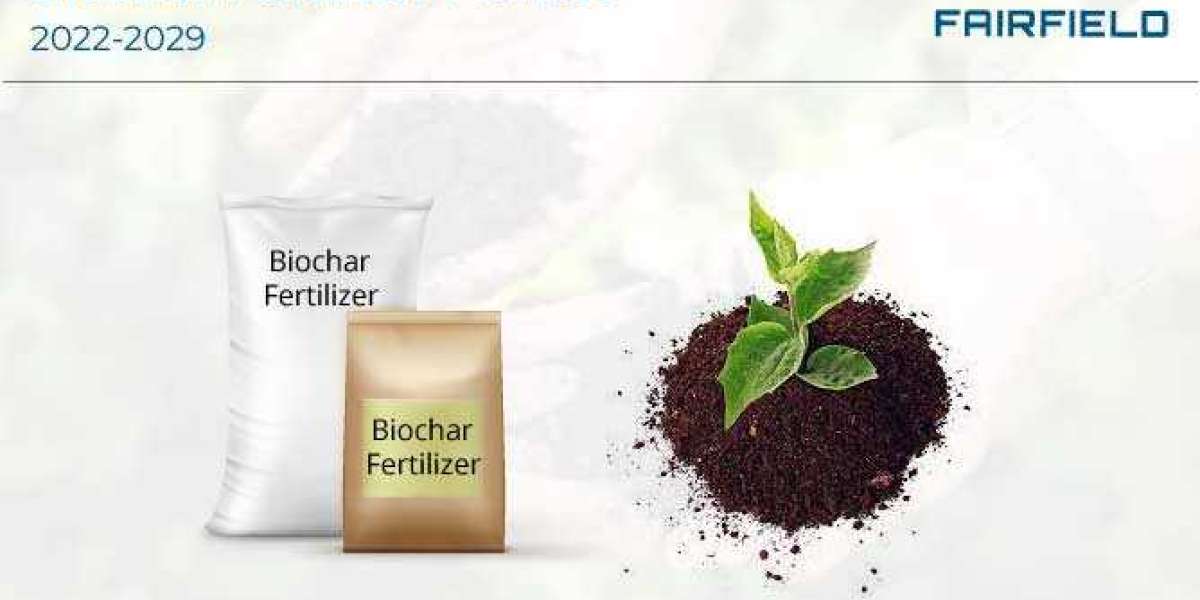 Biochar Fertilizer Market Study , New Project Investment and Forecast till 2029