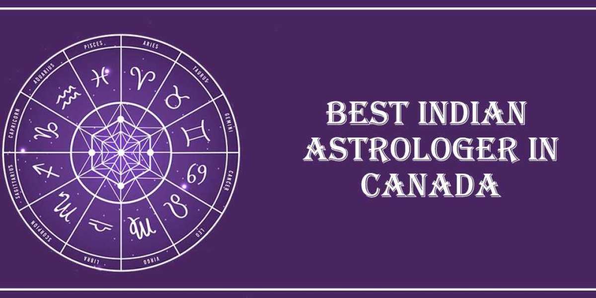 Best Indian Astrologer in Newfoundland and Labrador | Famous