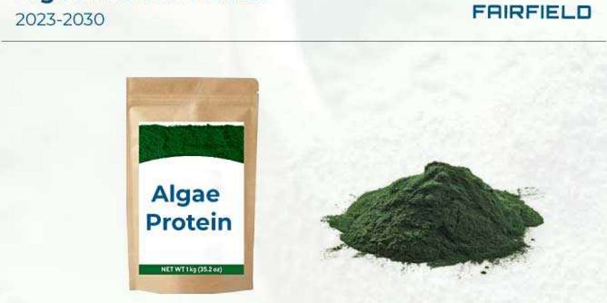 Algae Protein Market Study, New Project Investment and Forecast till 2029
