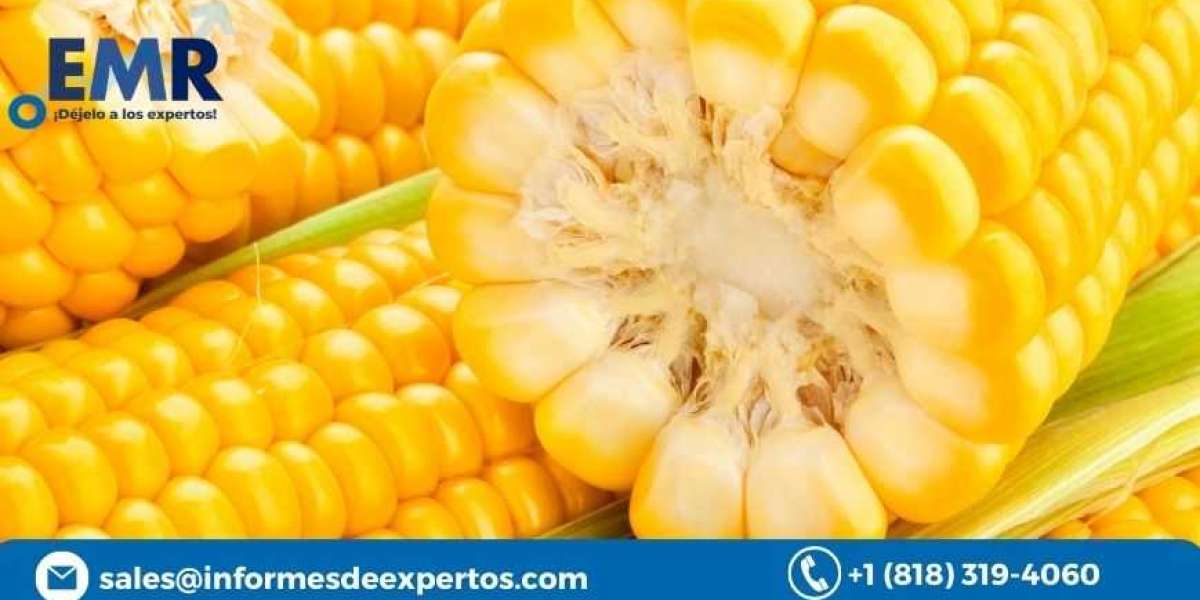 Global Corn Market Size, Share, Growth 2023-2028