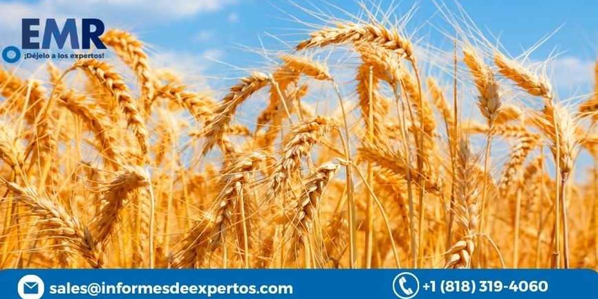Global Wheat Market Growth, Share, Report 2023-2028