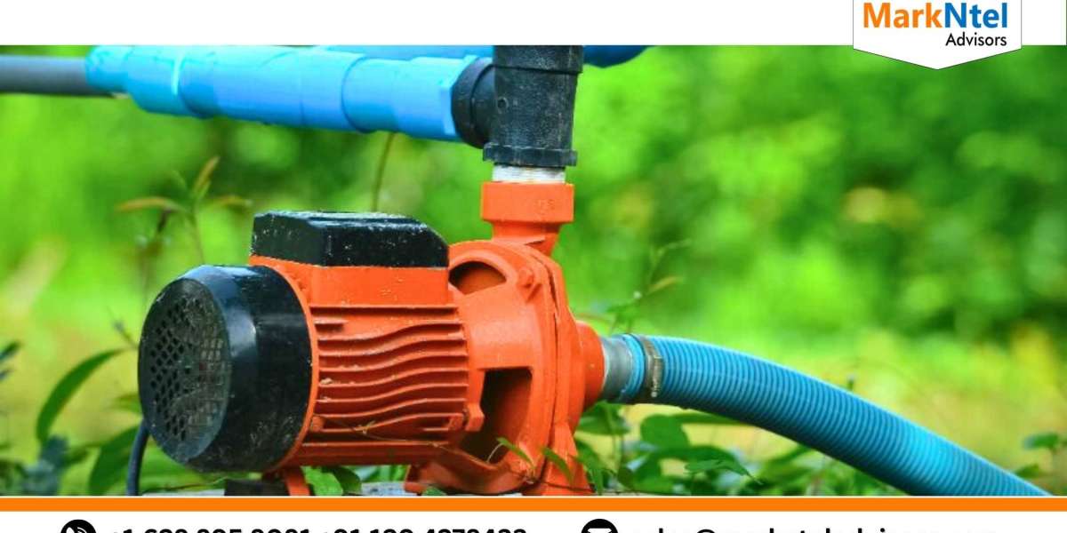 The Benefits of Investing in Egypt Domestic Water Pump Market