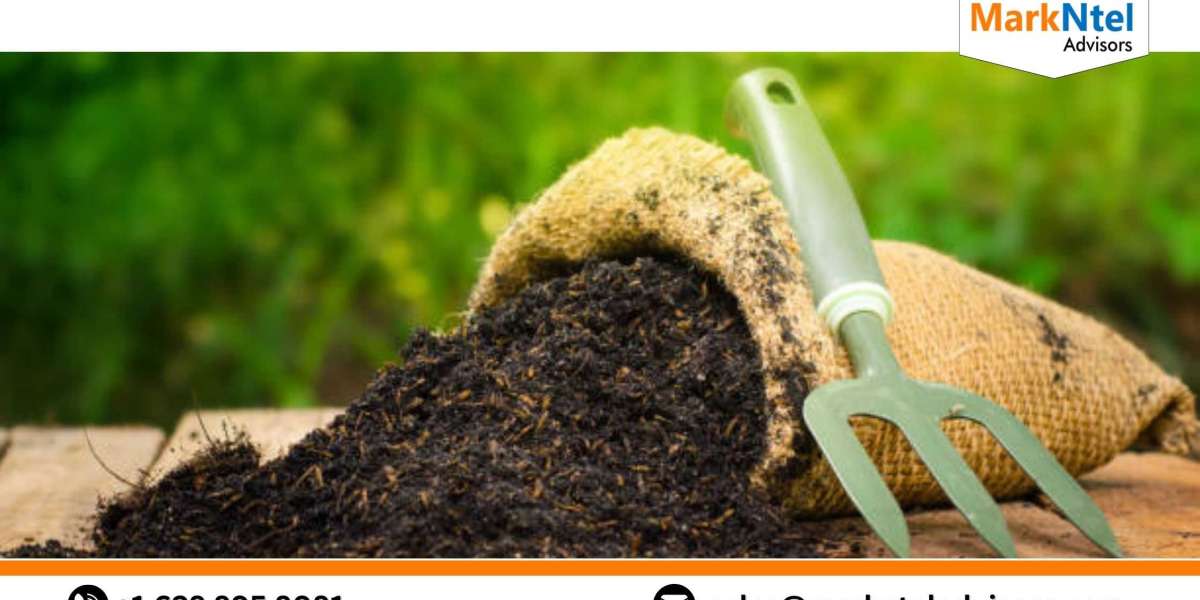 Unveiling the Expert’s Perspective for India Bio-Fertilizers Market Outlook 2028