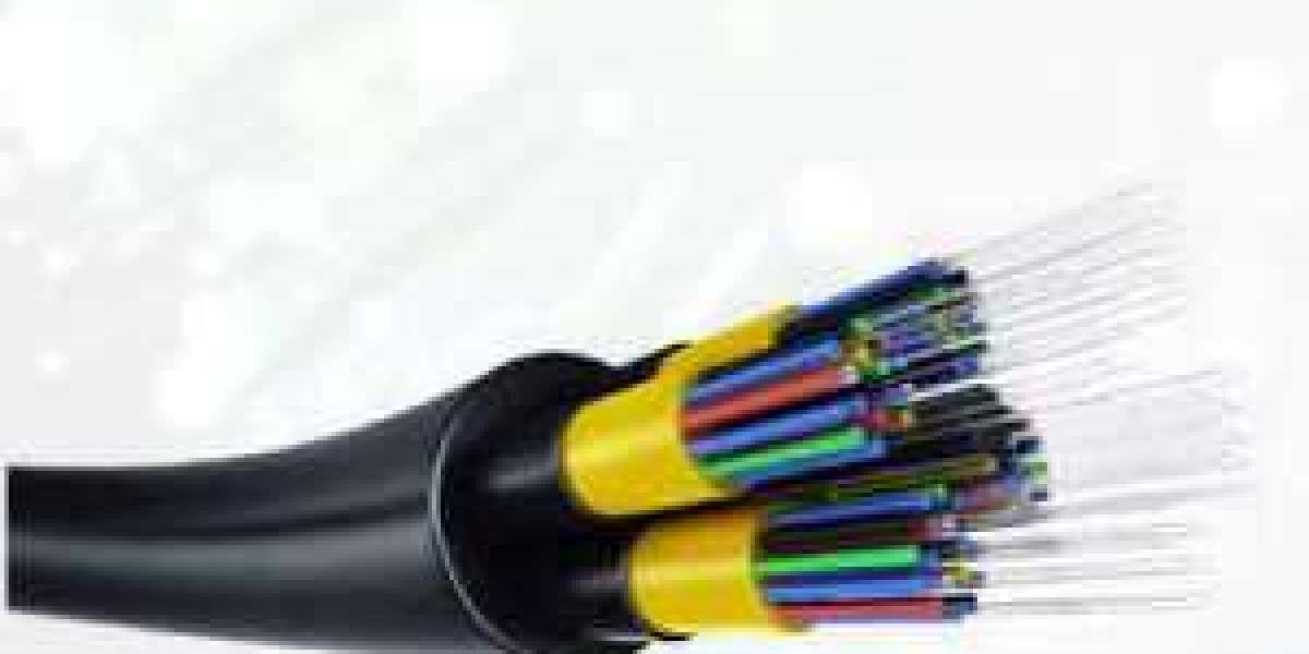 Germany Lit Fiber Market Study, New Project Investment and Forecast till 2030