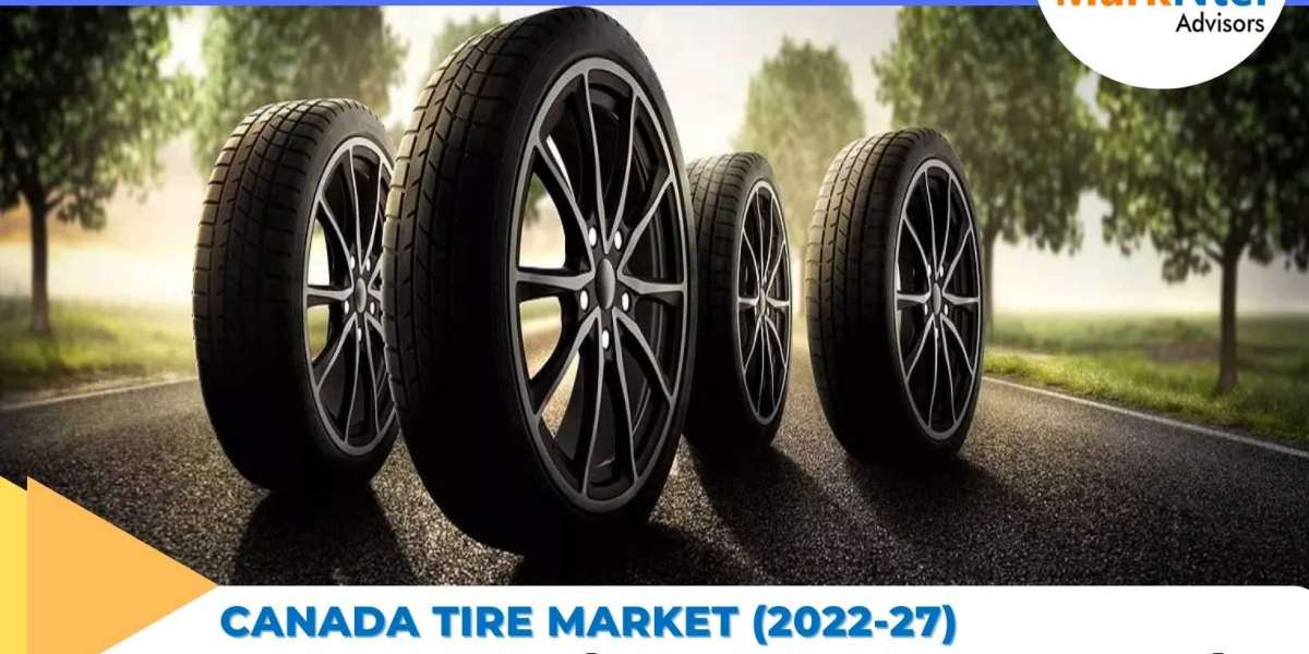 Demystifying the Demand Dynamics of the Canada Tire Market
