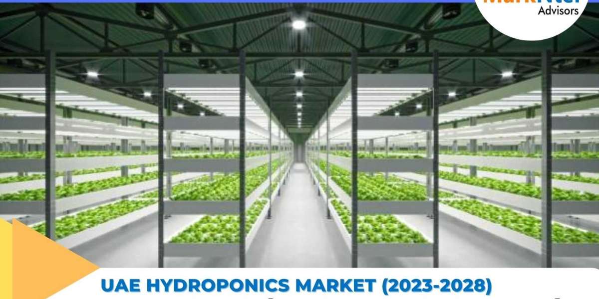 Demystifying the Demand Dynamics of the UAE Hydroponics Market