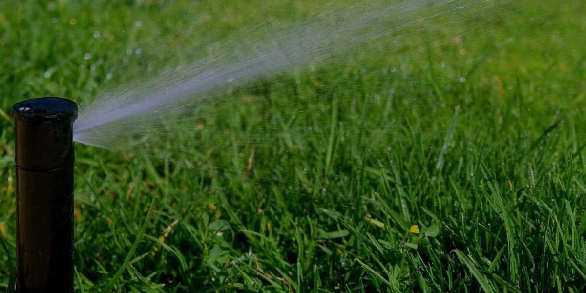 Find the Best Sprinkler Installer Near Me - Lucas Irrigation LLC